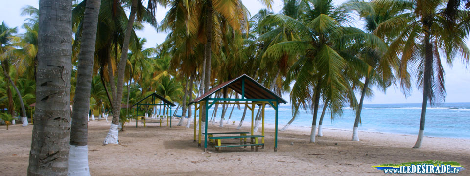 Les plages de La Désirade